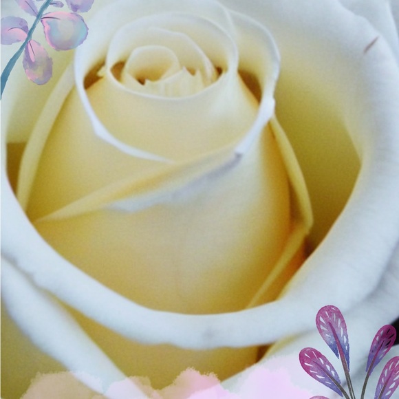 Meet your Posher, Shane - Picture 1 of 1